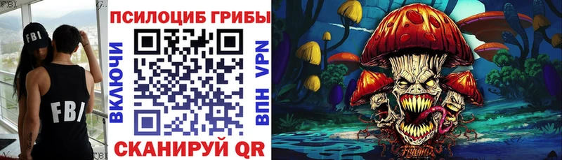 Галлюциногенные грибы мицелий купить наркотики сайты блэк спрут tor Трёхгорный